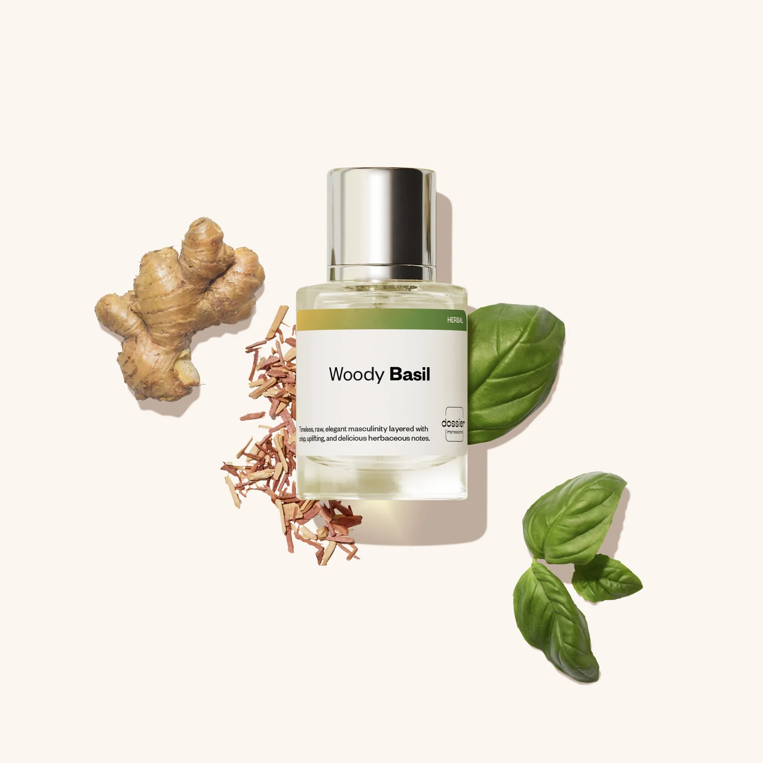 Woody Basil - Image 4